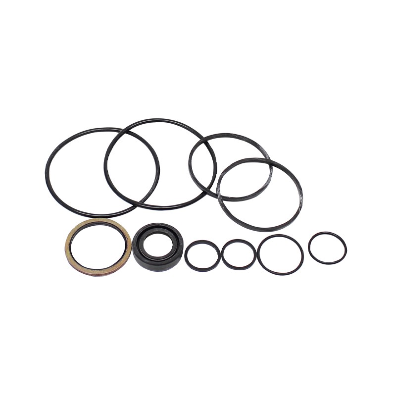 Kit-seal Pump steering / Engine 4.98NT - 988/00066